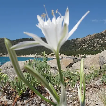 Hébergement de vacances Panoramica Porto Sa Ruxi, Villasimius Sardegna *